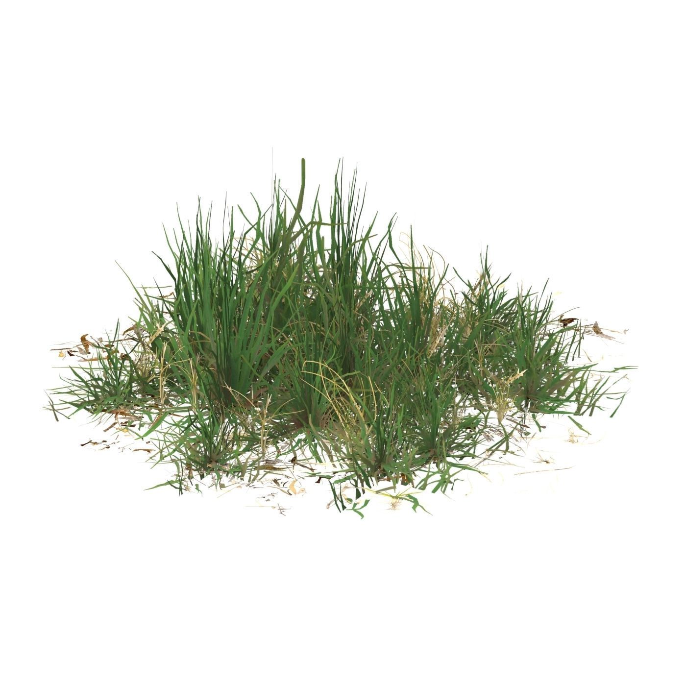 Realistic Game Ready Grass 03 Low-poly 3D model_2