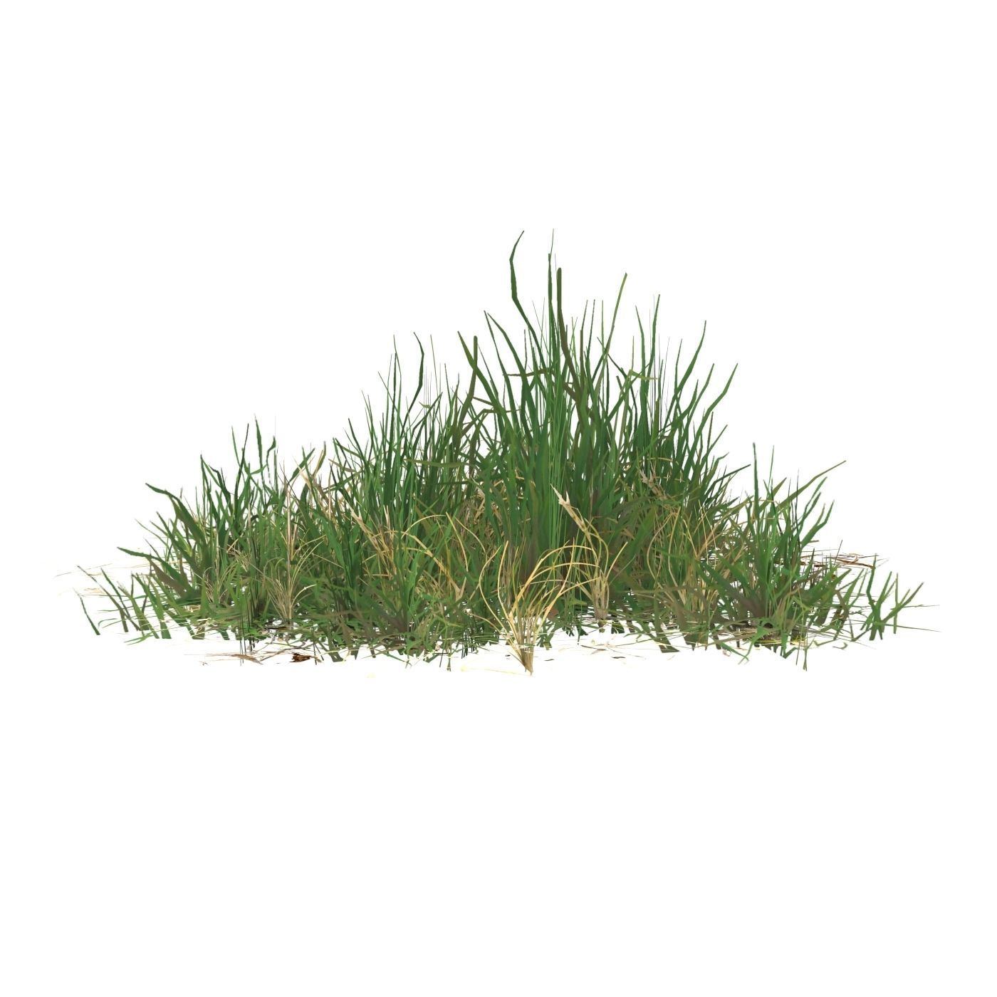 Realistic Game Ready Grass 03 Low-poly 3D model_1