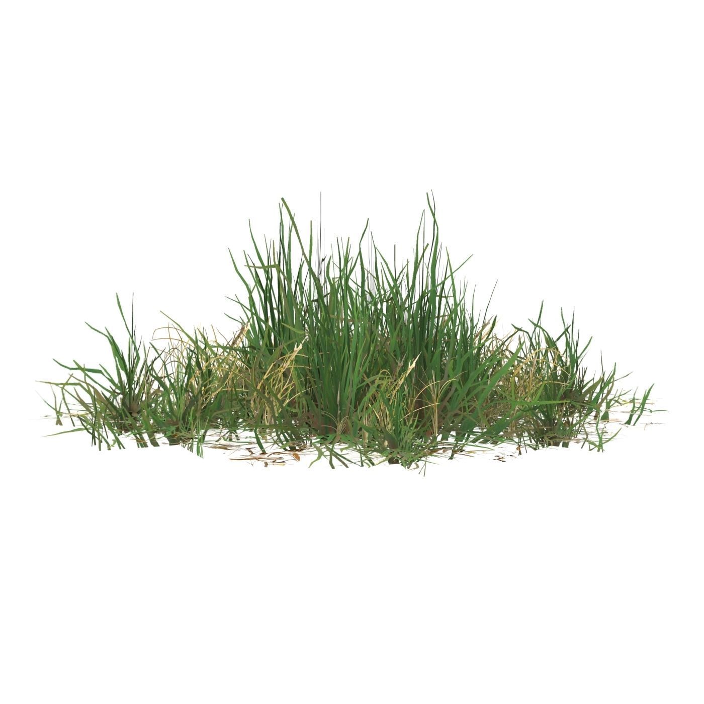 Realistic Game Ready Grass 03 Low-poly 3D model_3