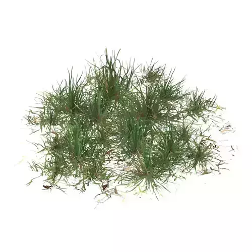 Realistic Game Ready Grass 04