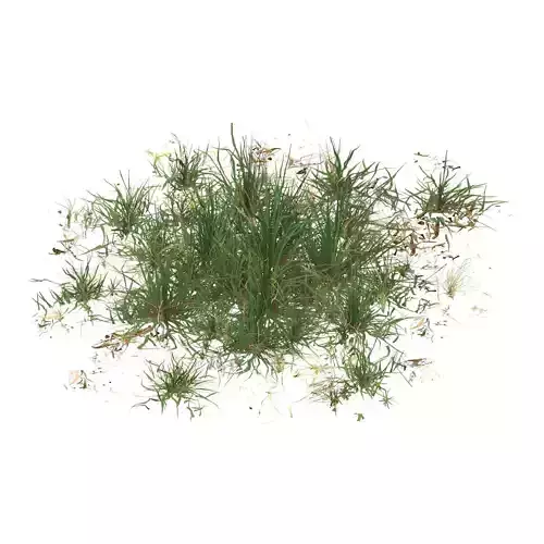 Realistic Game Ready Grass 05