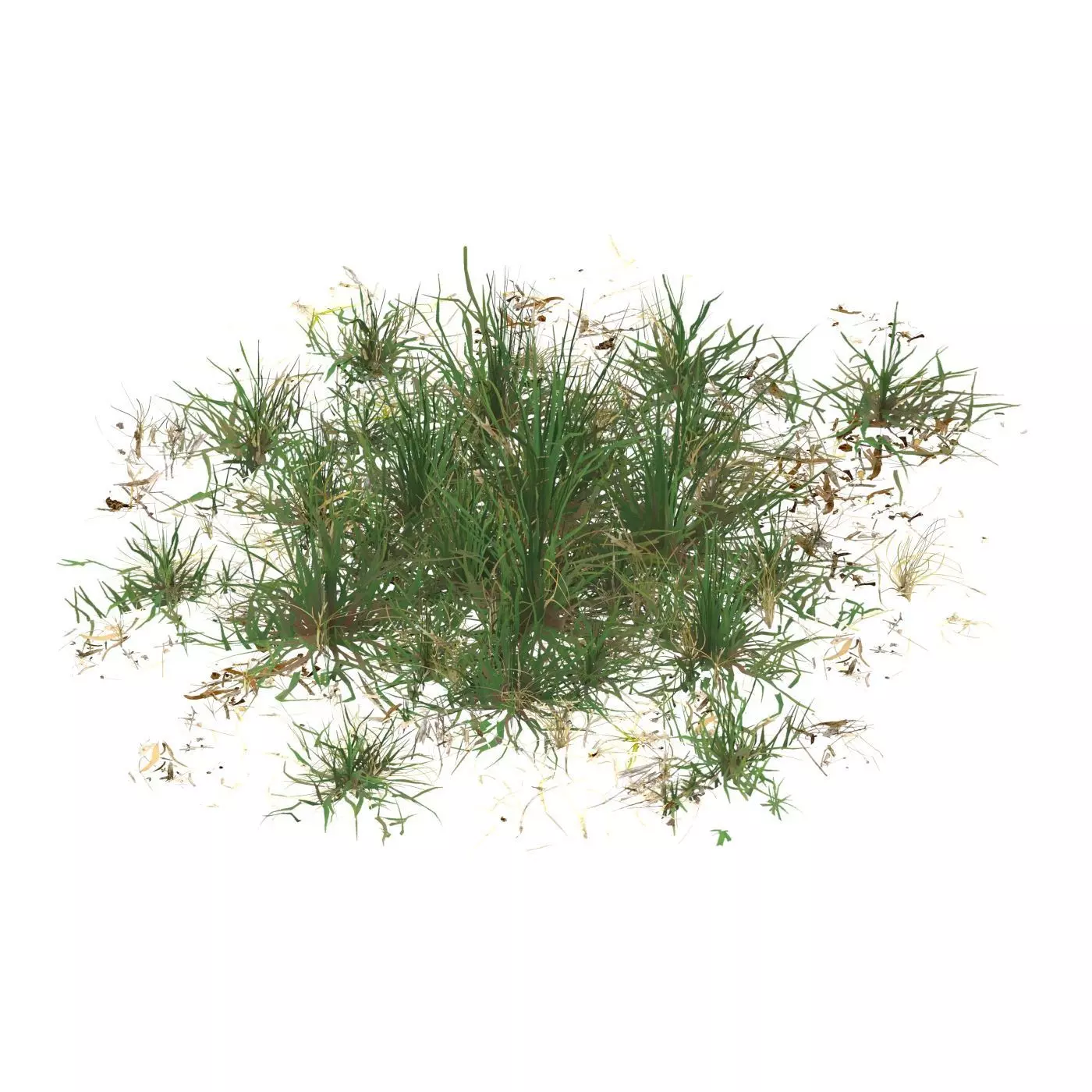 Realistic Game Ready Grass 05 Low-poly 3D model