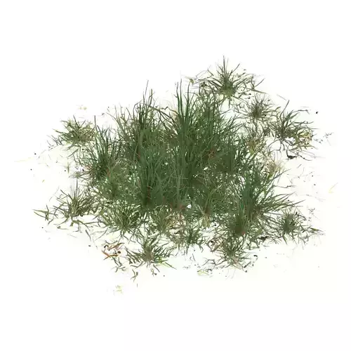 Realistic Game Ready Grass 06