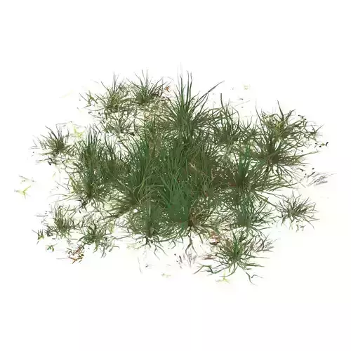 Realistic Game Ready Grass 07 Low-poly 3D model