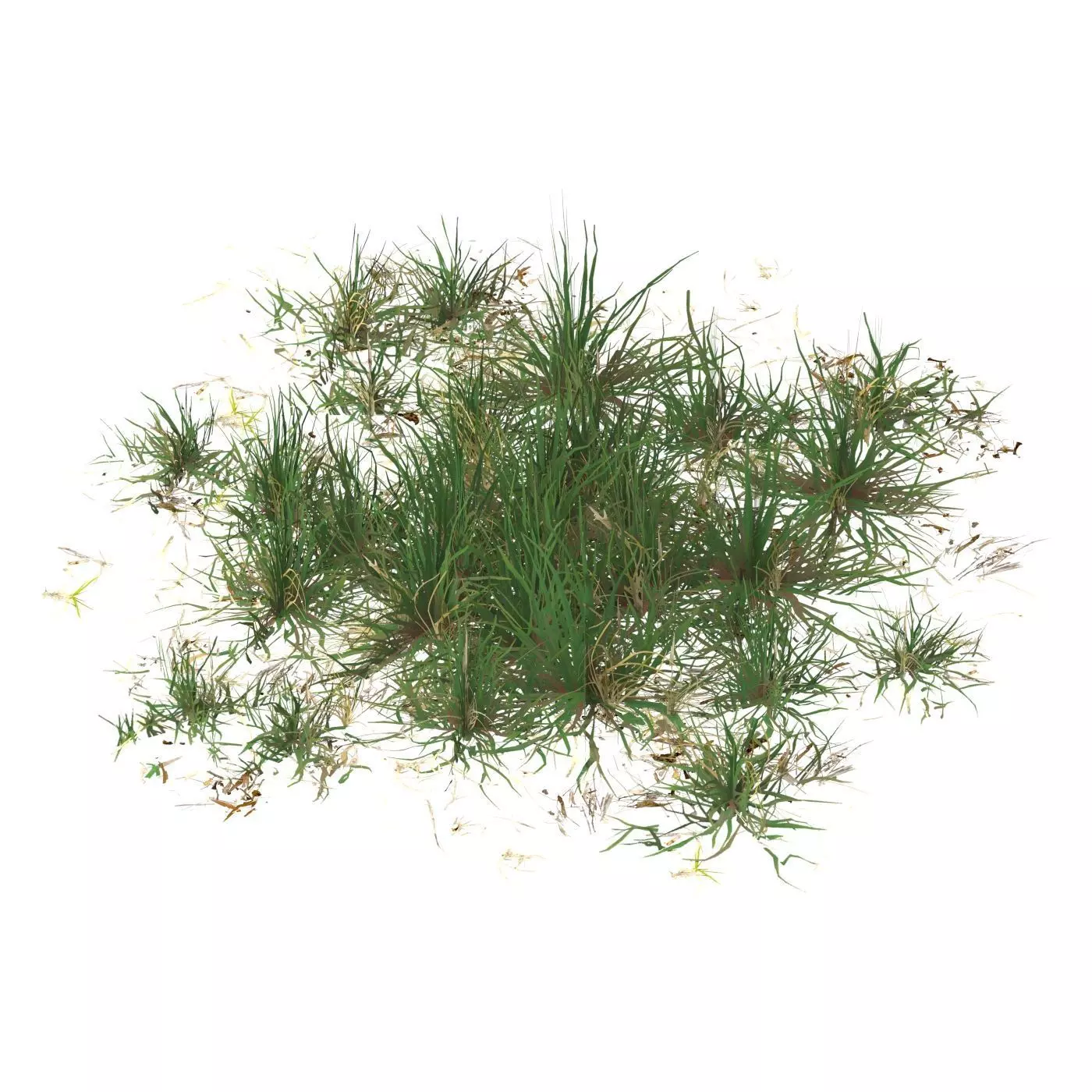 Realistic Game Ready Grass 07 Low-poly 3D model_0