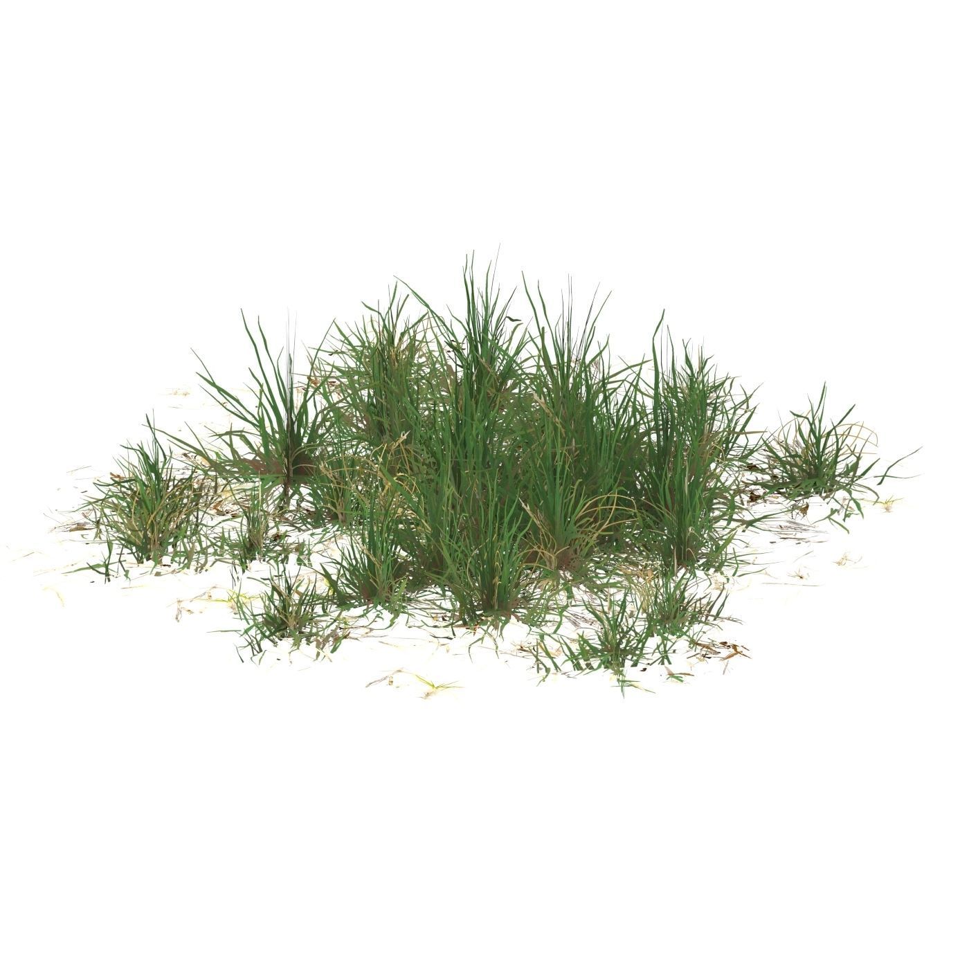 Realistic Game Ready Grass 07 Low-poly 3D model_2