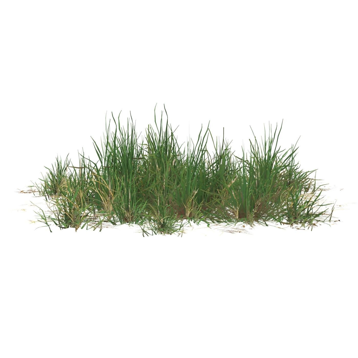 Realistic Game Ready Grass 07 Low-poly 3D model_1