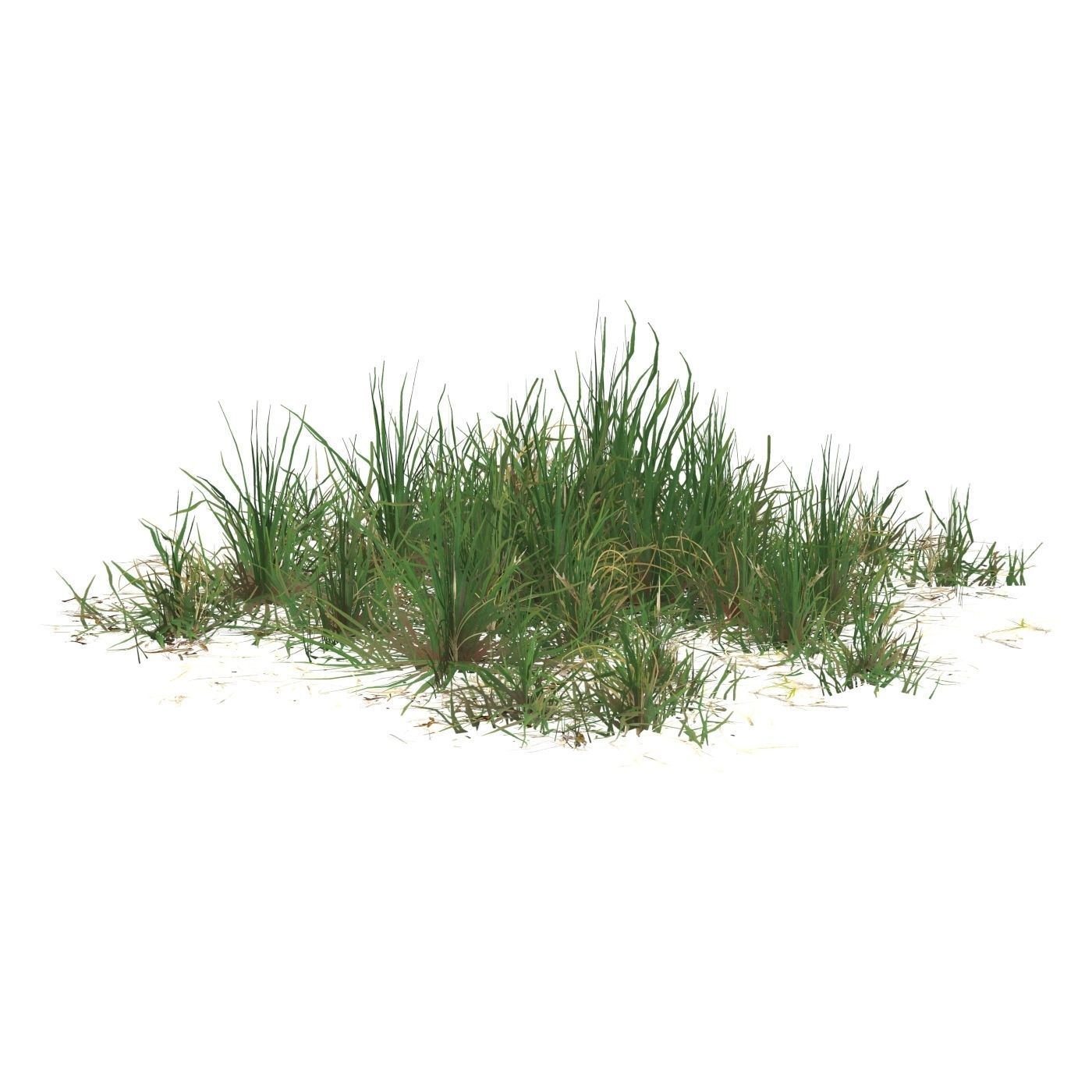 Realistic Game Ready Grass 07 Low-poly 3D model_3
