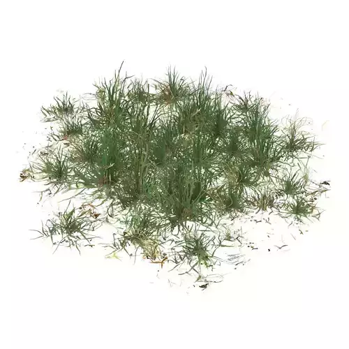 Realistic Game Ready Grass 08