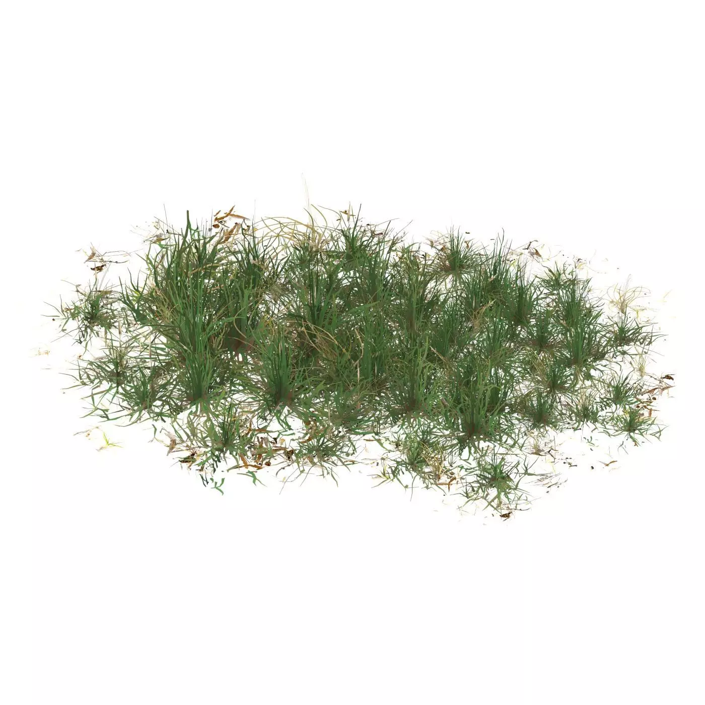 Realistic Game Ready Grass 09 Low-poly 3D model