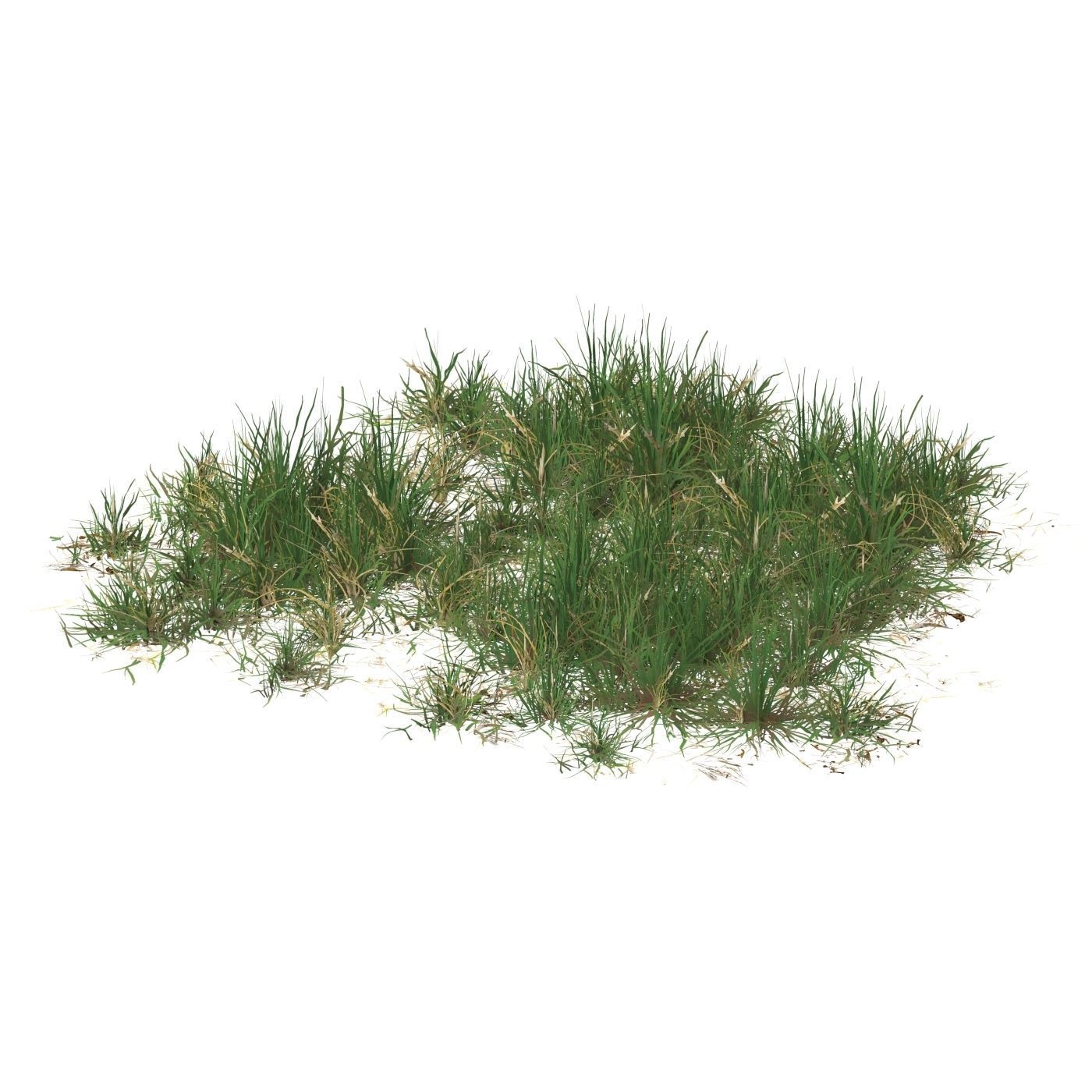 Realistic Game Ready Grass 10 Low-poly 3D model_2