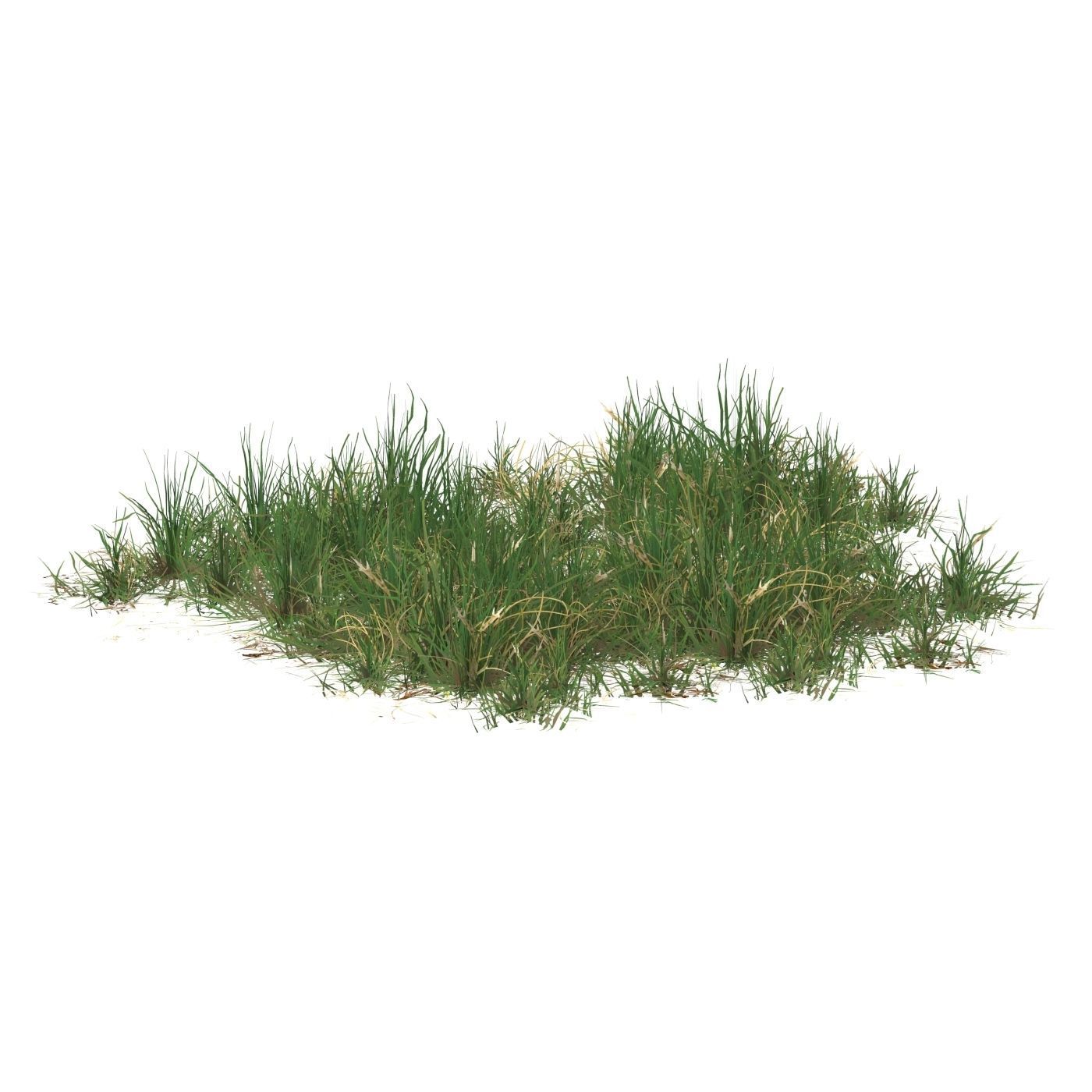 Realistic Game Ready Grass 10 Low-poly 3D model_3
