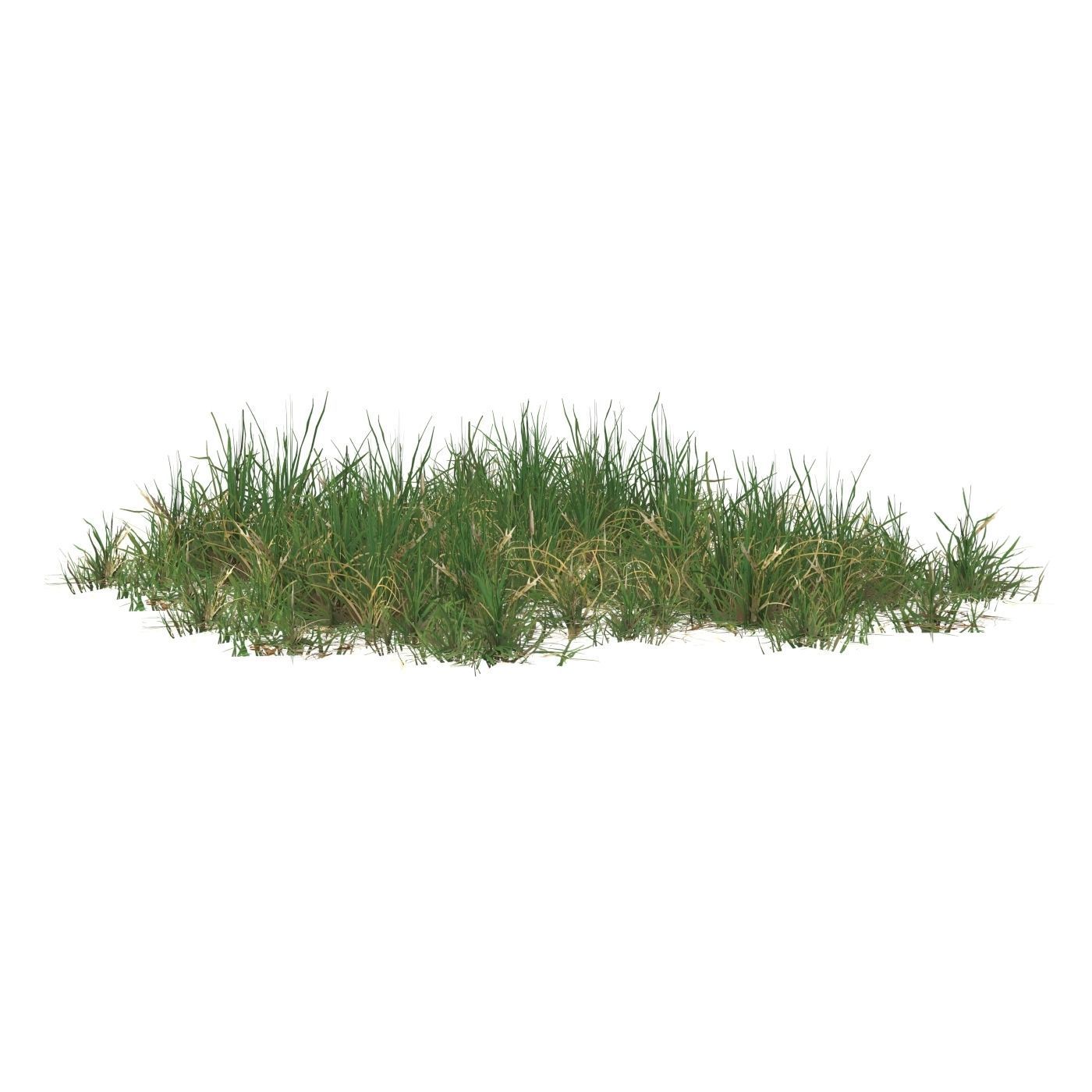 Realistic Game Ready Grass 10 Low-poly 3D model_1