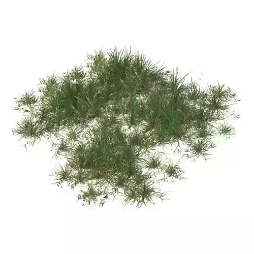 Realistic Game Ready Grass 10