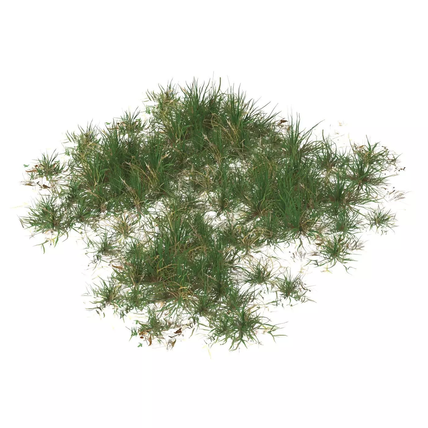 Realistic Game Ready Grass 10 Low-poly 3D model_0