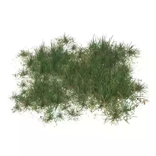 Realistic Game Ready Grass 11