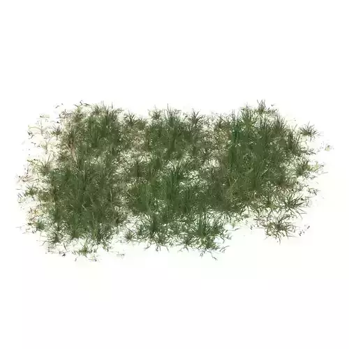Realistic Game Ready Grass 12