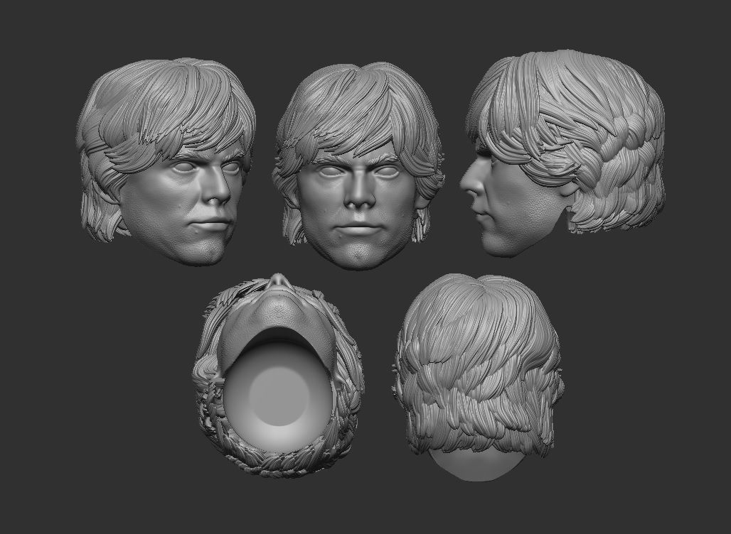 Luke Skywalker - Headsculpt for Action Figures 3D print model_1