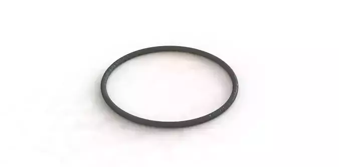 O Ring Vedabras 13031 3D model