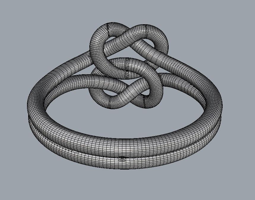 Double Knot Ring 3D print model_25