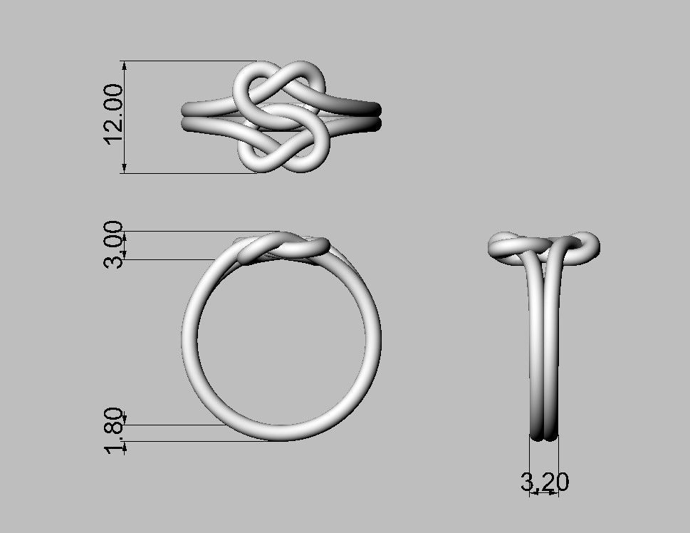 Double Knot Ring 3D print model_7