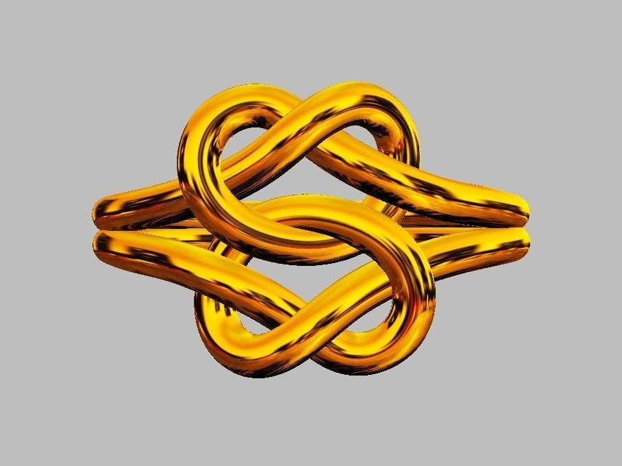 Double Knot Ring 3D print model_12