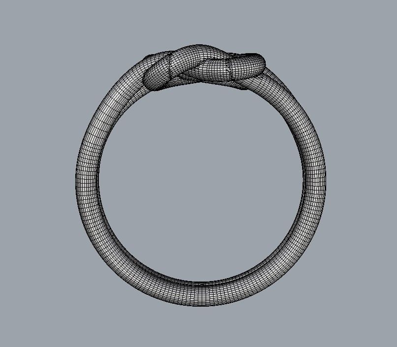 Double Knot Ring 3D print model_22