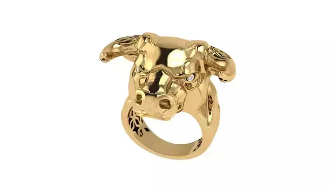 Bull Ring With Stones