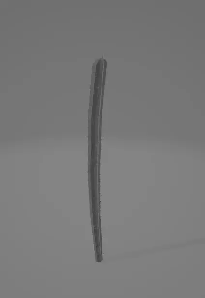 Cactus Free 3D model_0