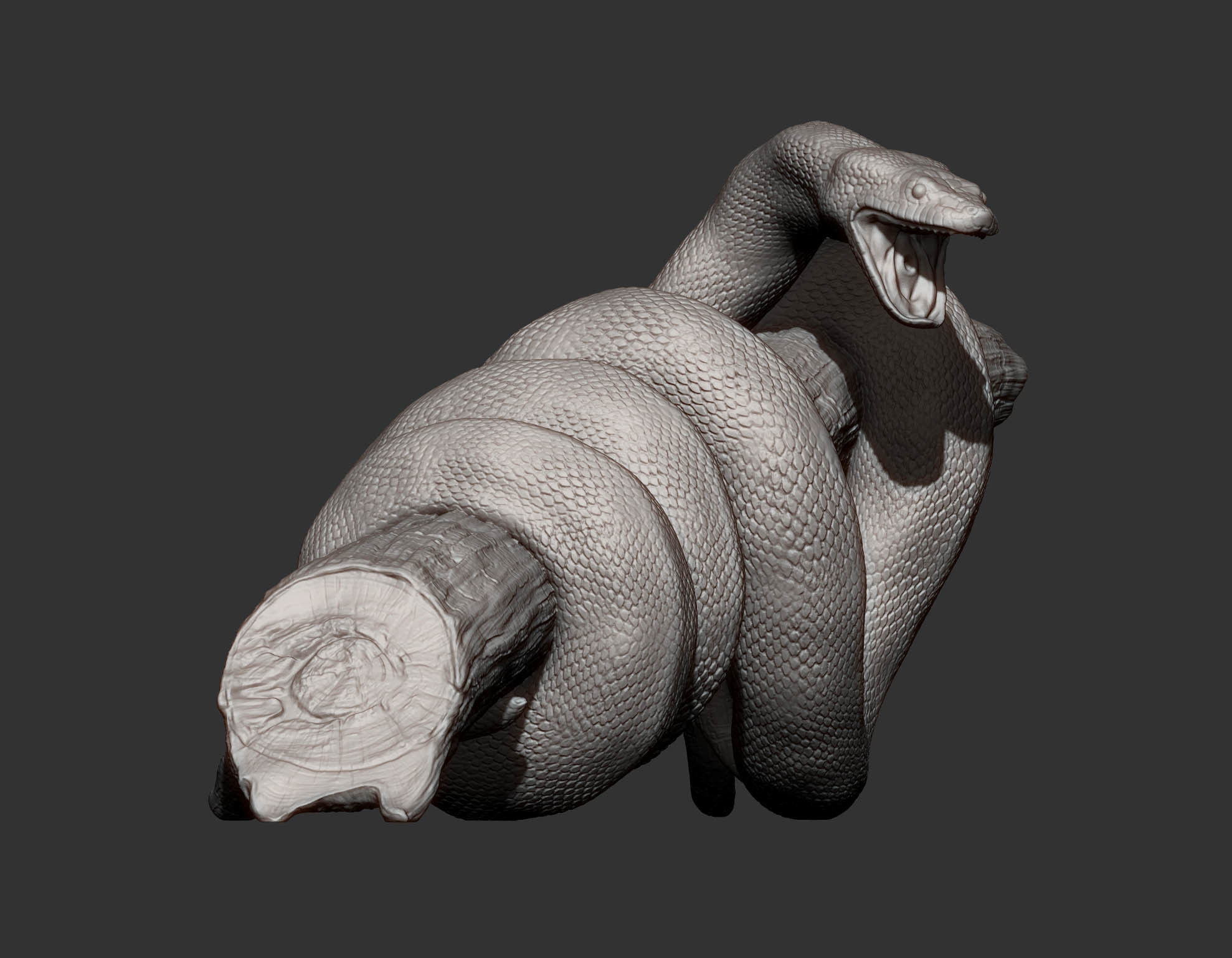 Anaconda 3D print model_11