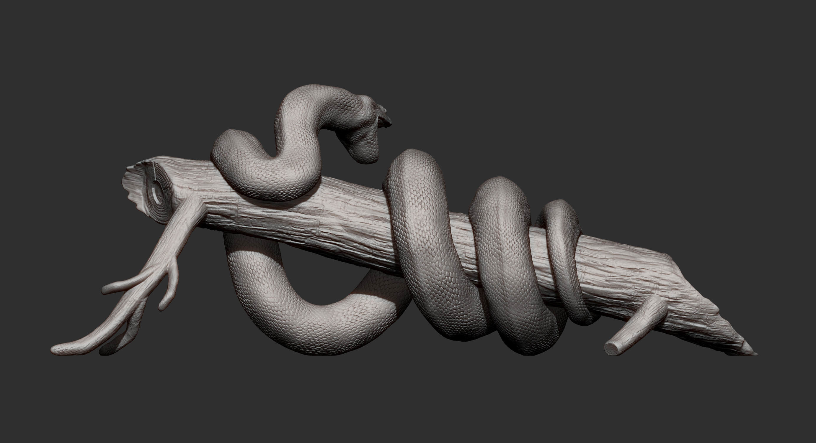 Anaconda 3D print model_14