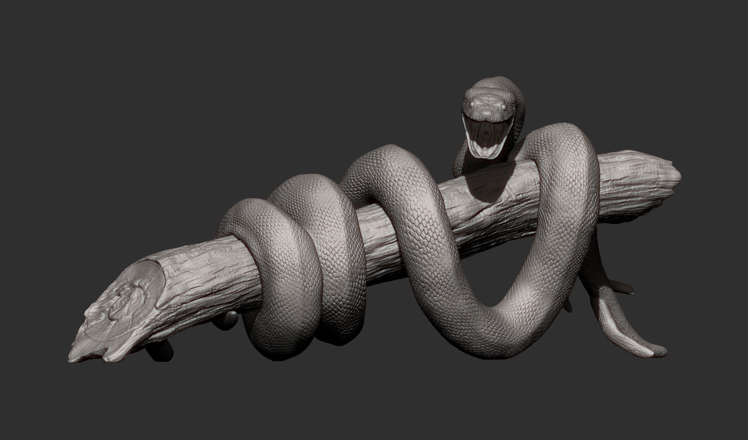 Anaconda 3D print model_8