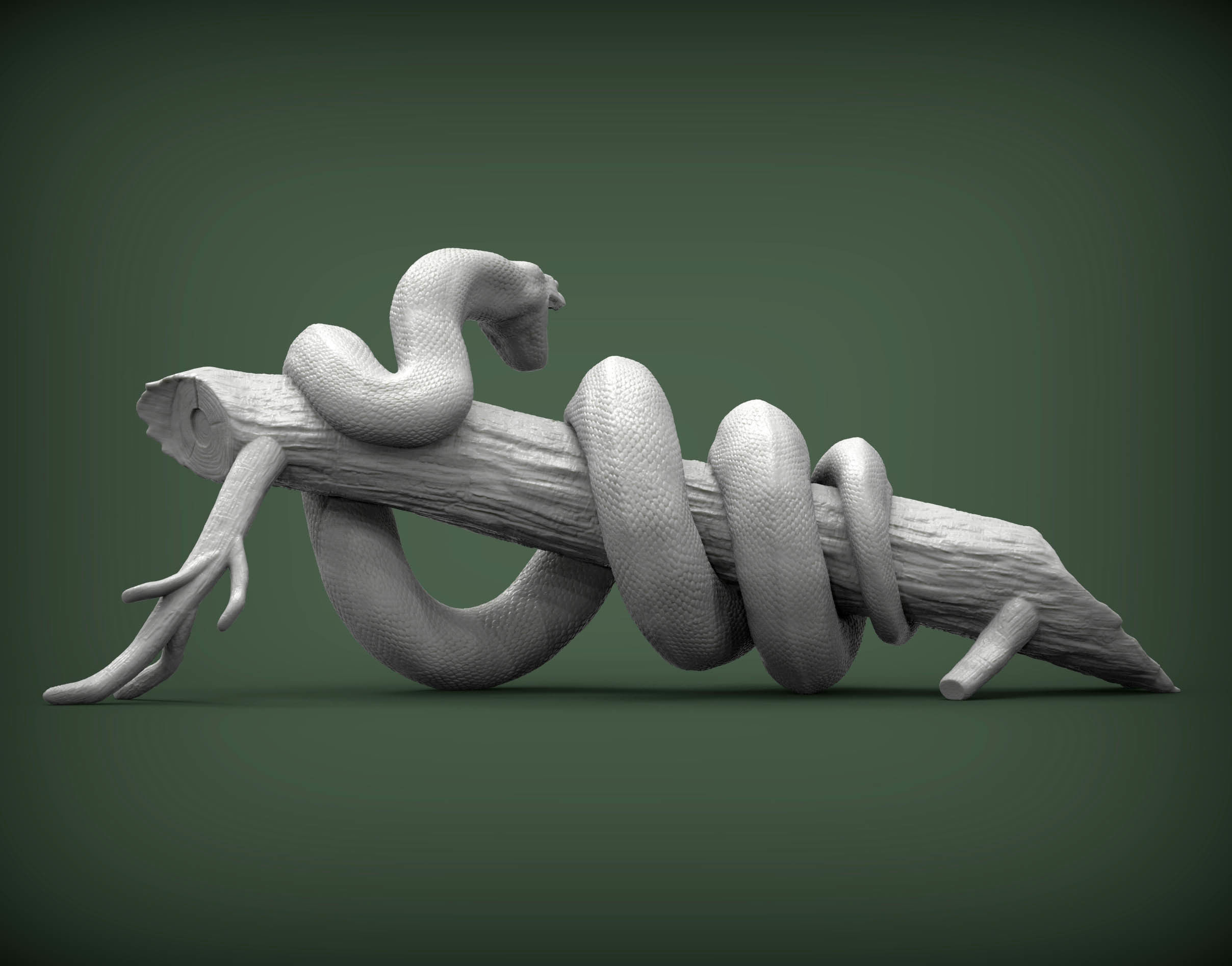 Anaconda 3D print model_5