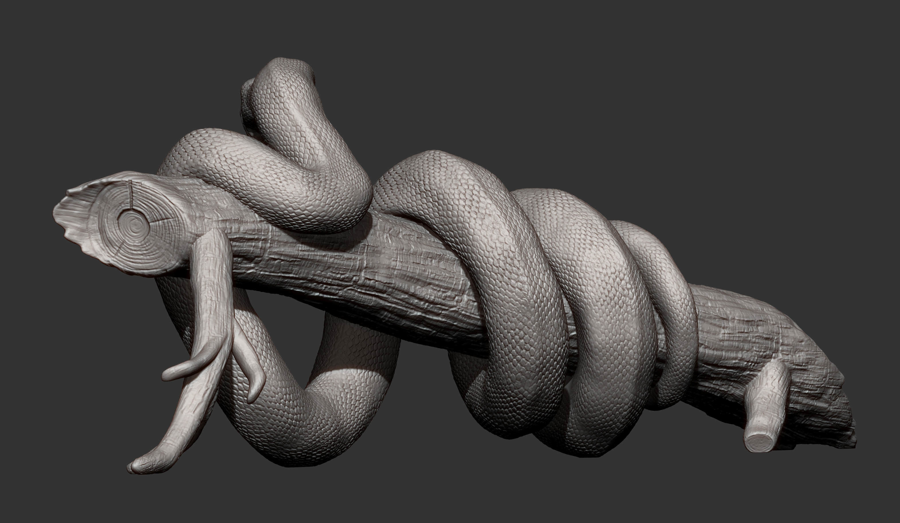Anaconda 3D print model_10