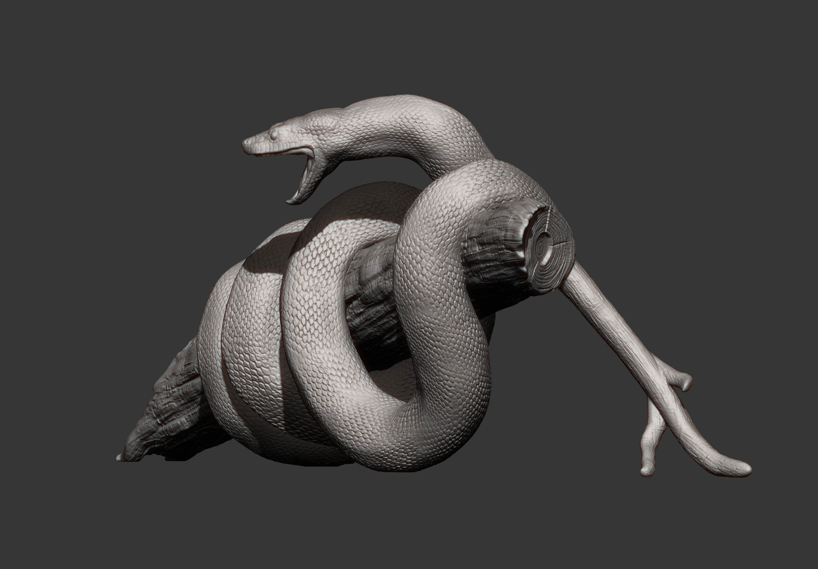 Anaconda 3D print model_9