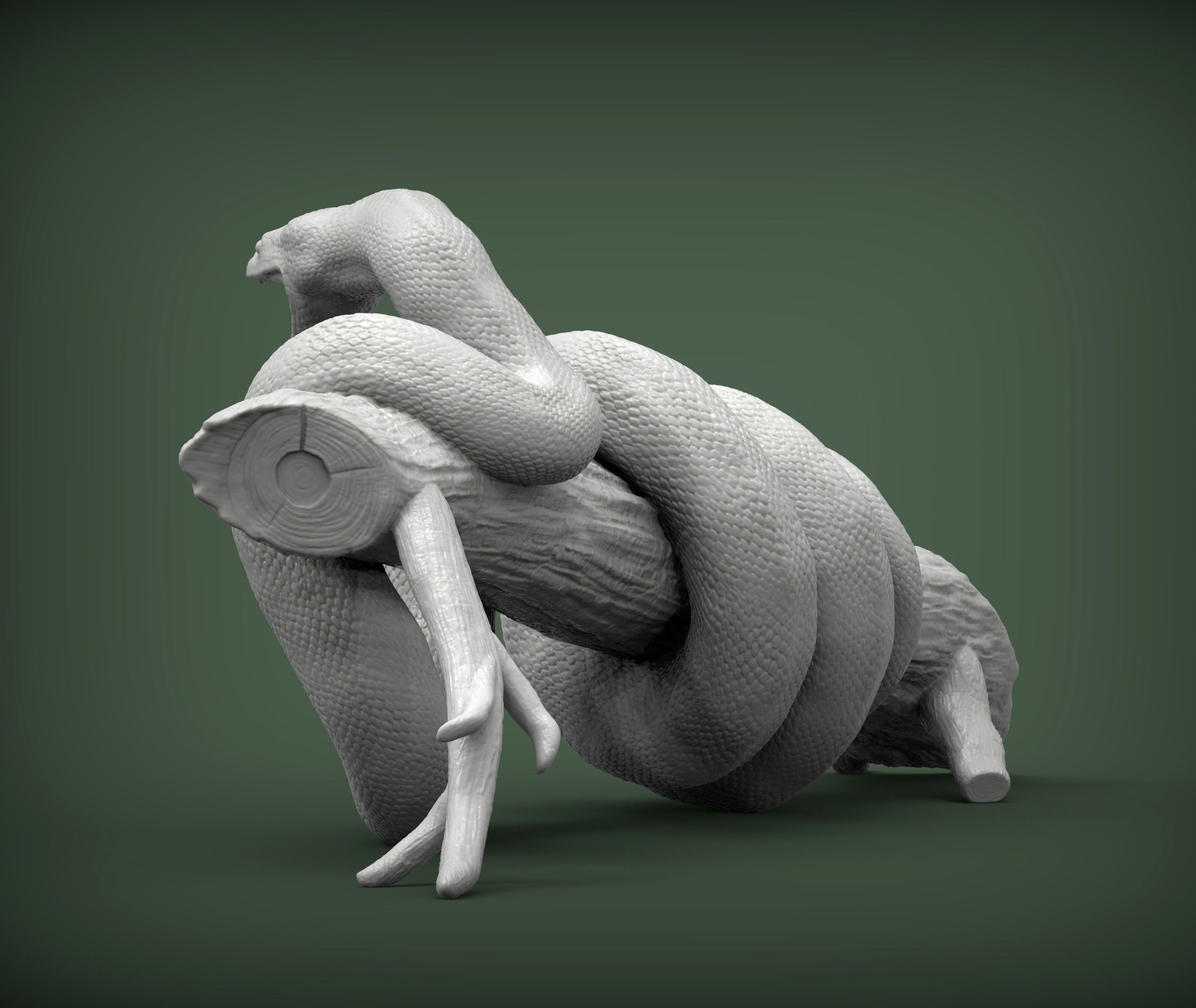 Anaconda 3D print model_7