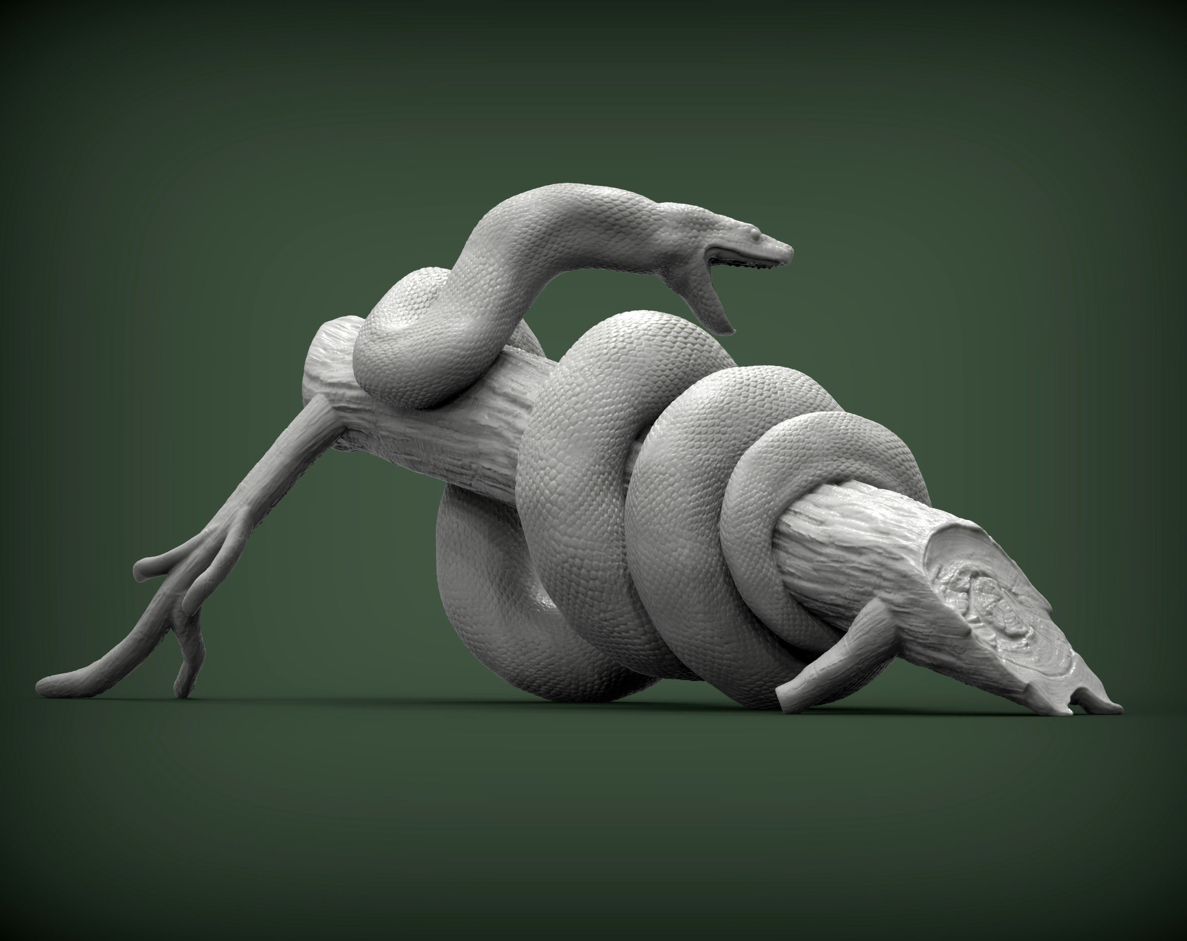 Anaconda 3D print model_4