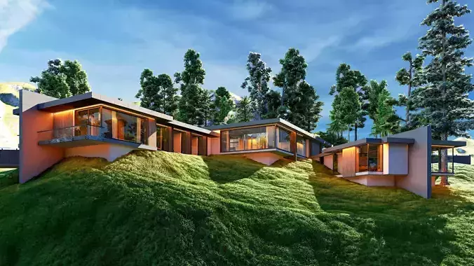 Modern House On The Hill