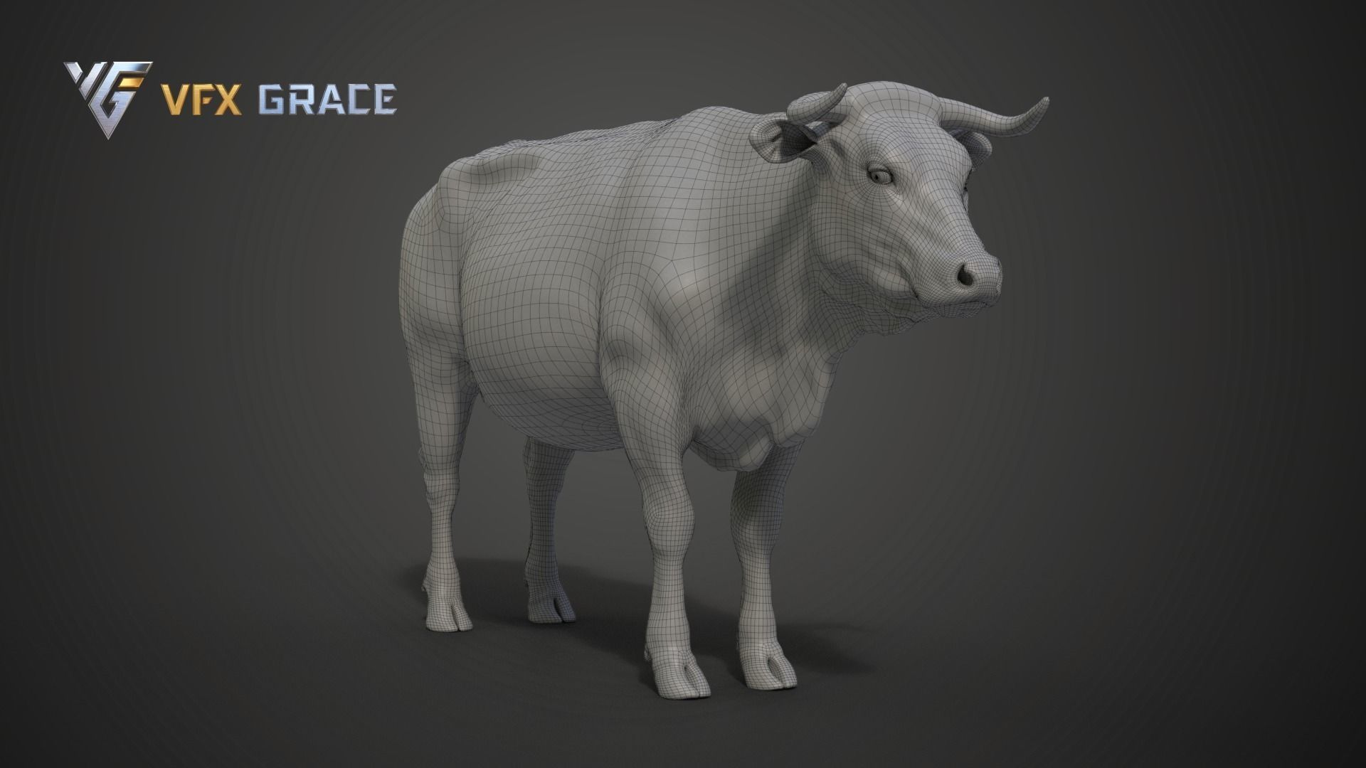 Cattle  UE Character Asset 3D model_19
