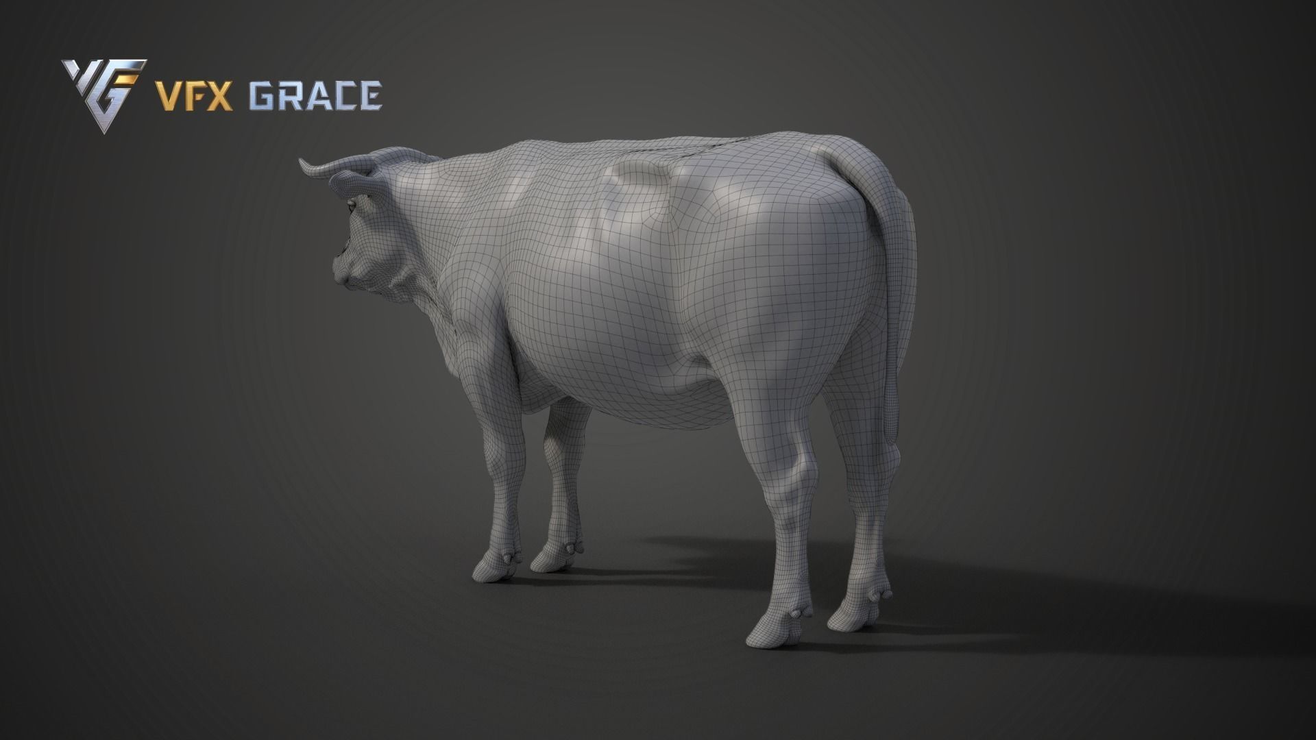 Cattle  UE Character Asset 3D model_21