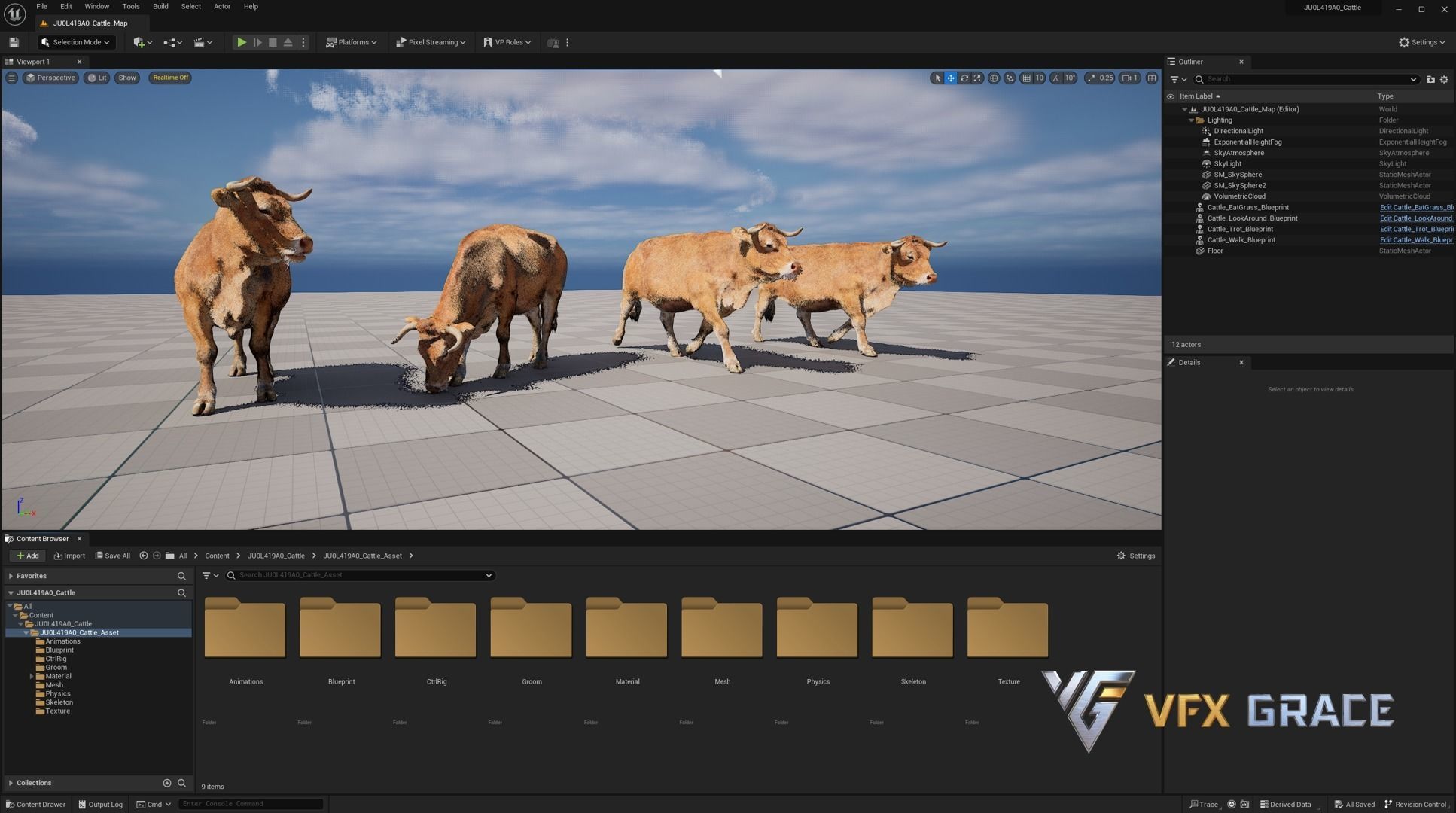 Cattle  UE Character Asset 3D model_18