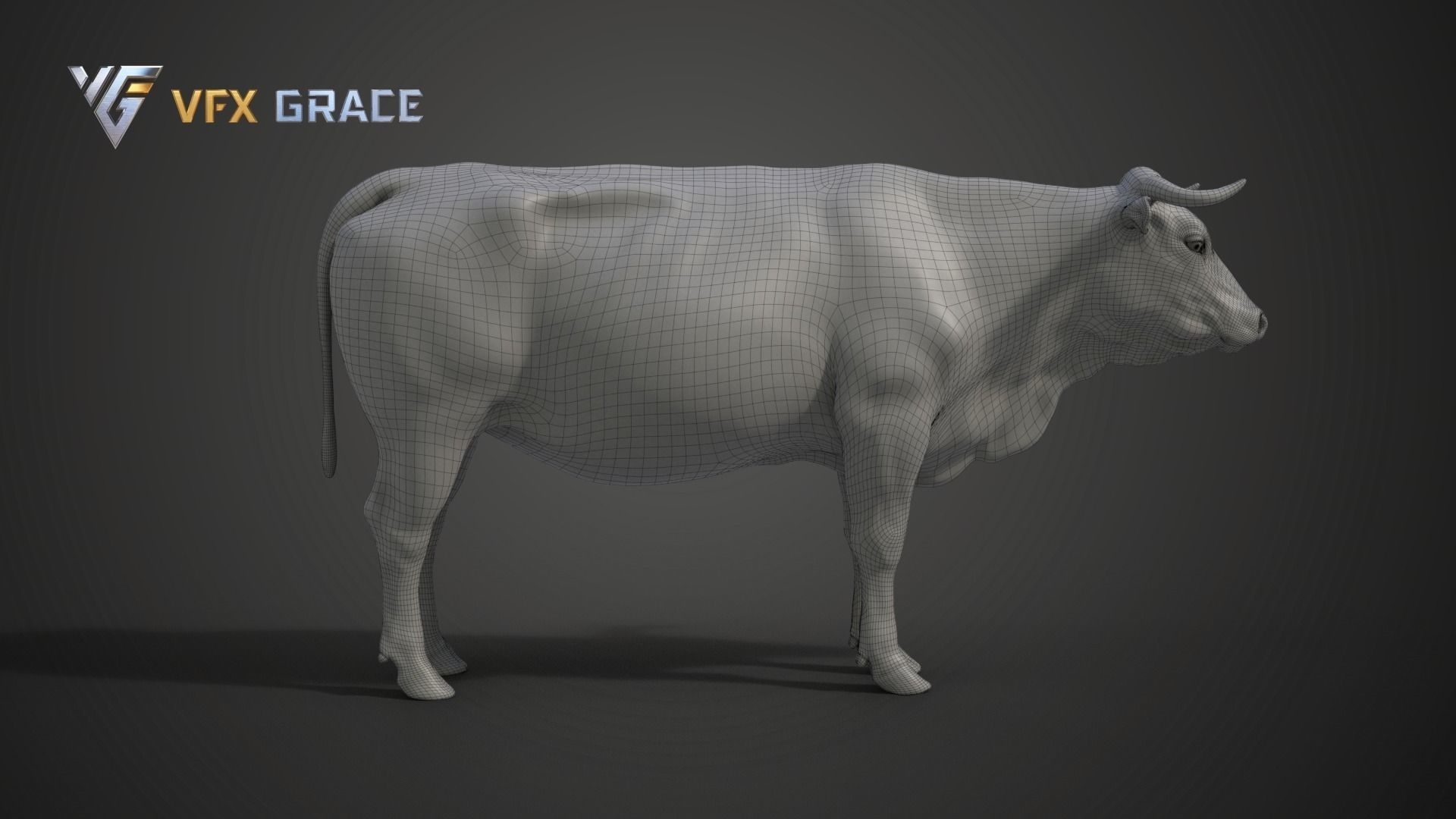 Cattle  UE Character Asset 3D model_20