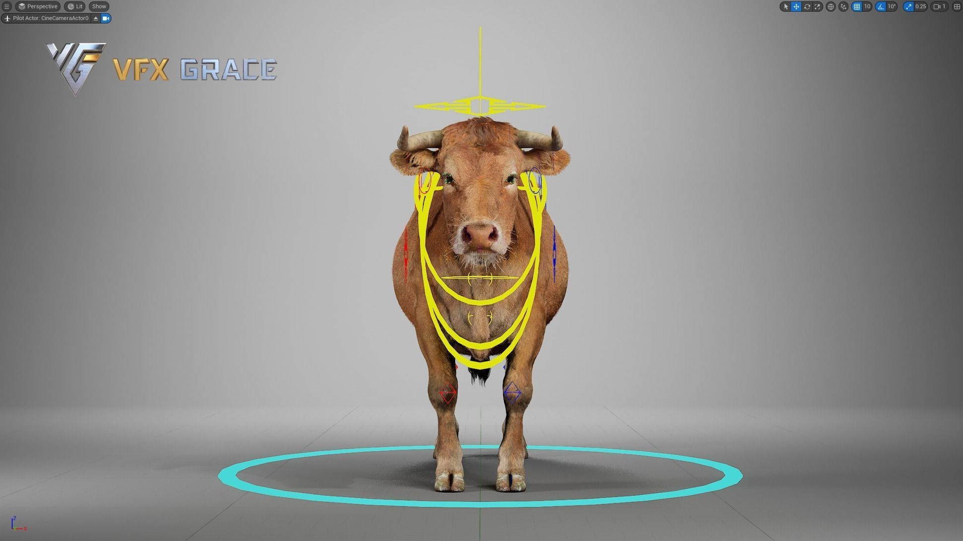Cattle  UE Character Asset 3D model_15