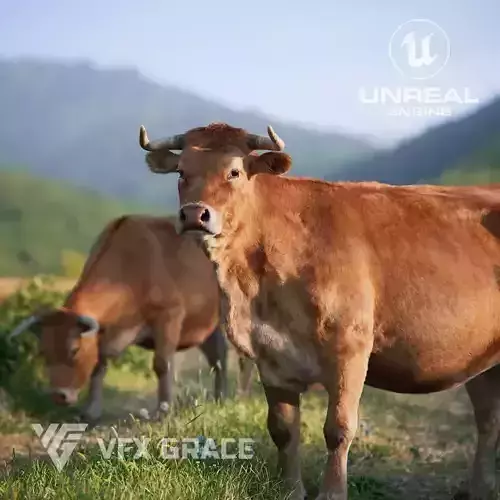 Cattle  UE Character Asset 3D model Cattle  UE Character Asset 3D model