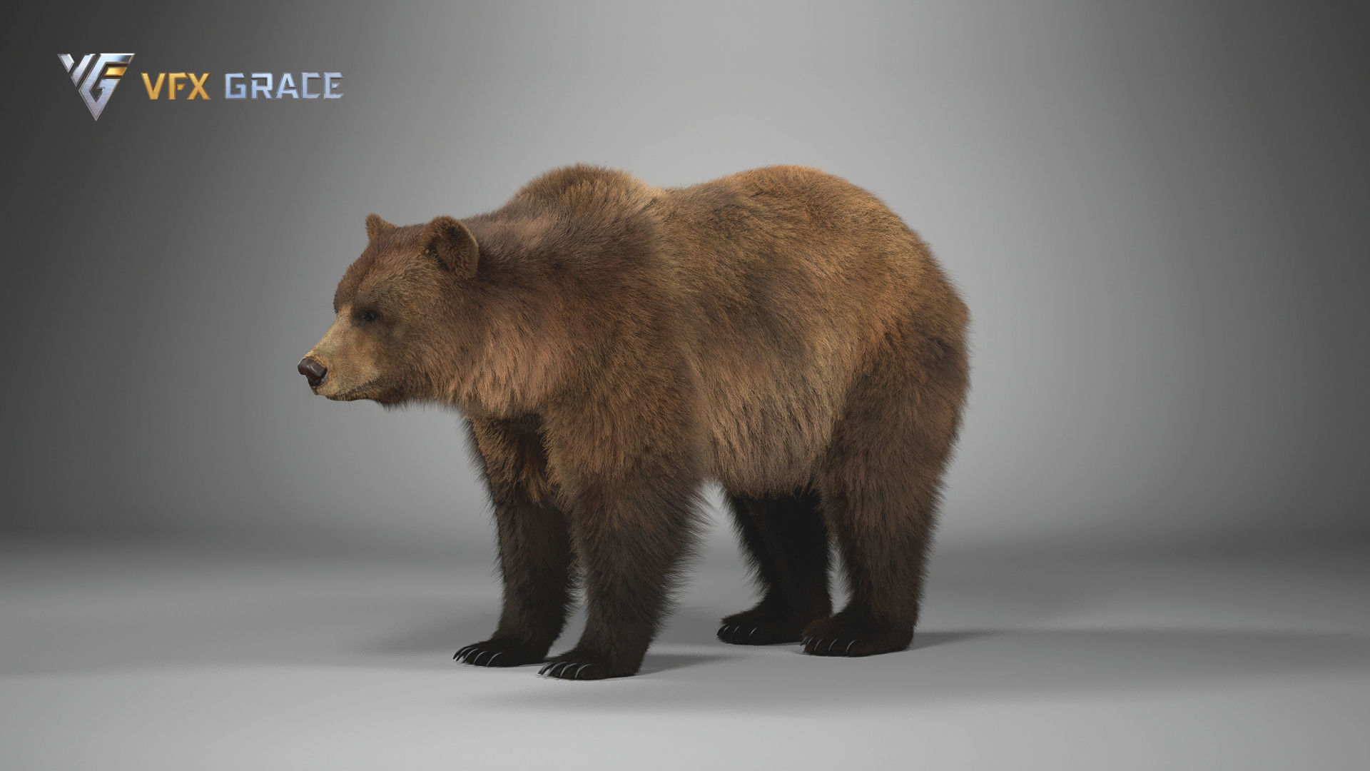 Brown Bear Female UE Character Asset 3D model_5