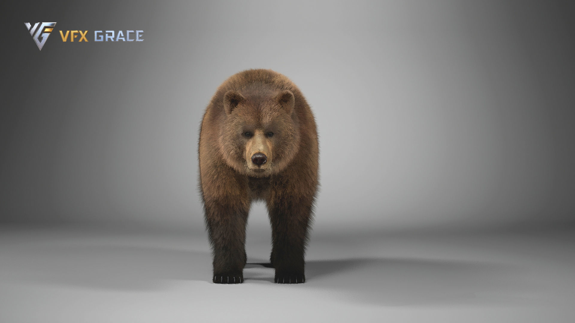 Brown Bear Female UE Character Asset 3D model_4