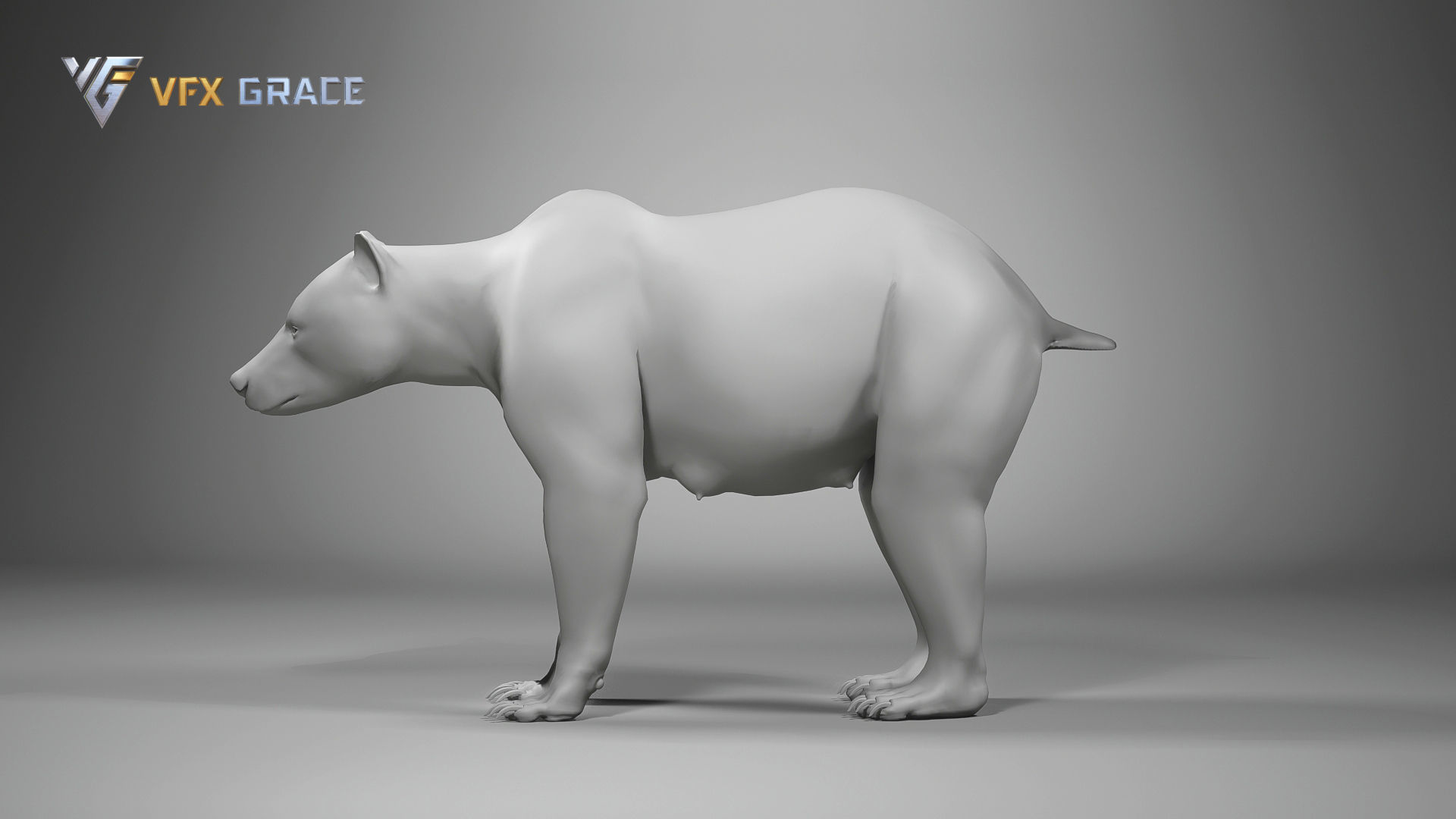 Brown Bear Female UE Character Asset 3D model_13