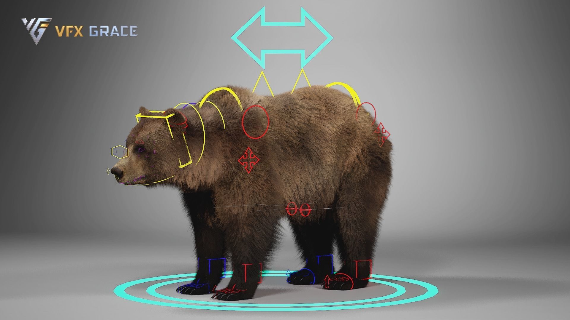 Brown Bear Female UE Character Asset 3D model_18