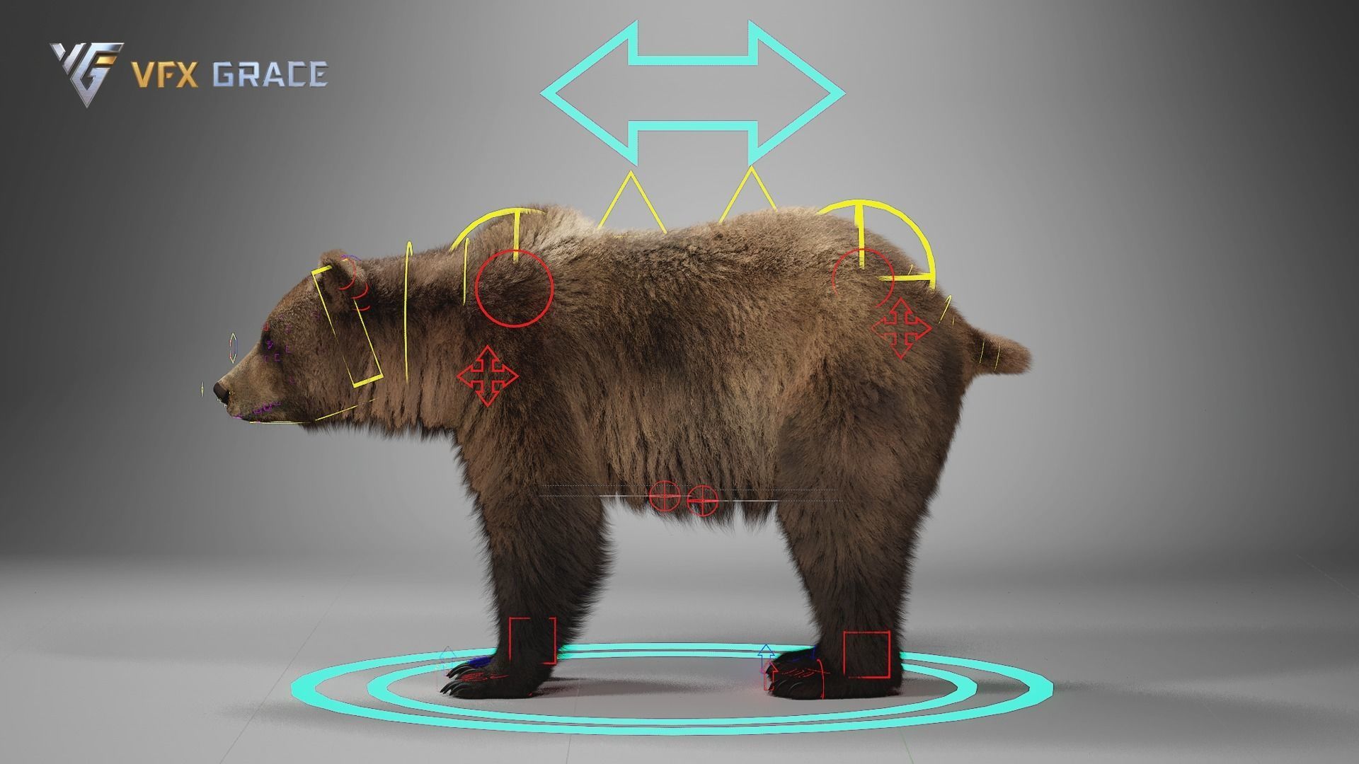 Brown Bear Female UE Character Asset 3D model_17