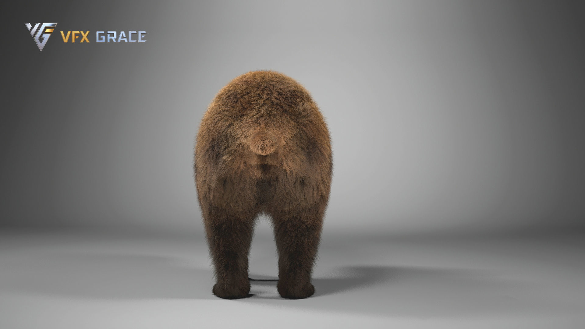 Brown Bear Female UE Character Asset 3D model_8